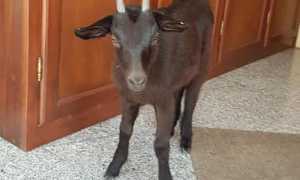 233442623 878084509804638 3182340404368251142 n