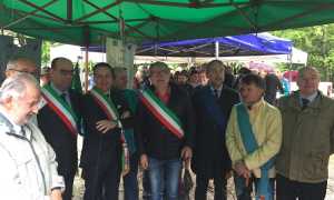 50anni colma