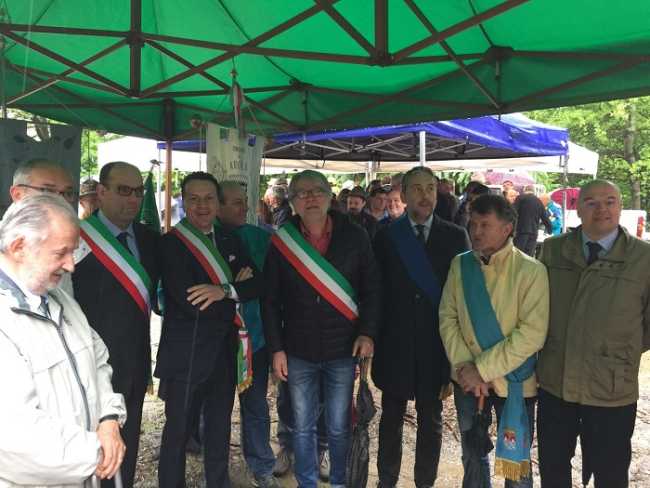 50anni colma