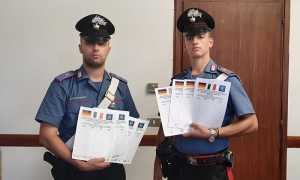 8a066fad a797 4d84 addb 7128c880e556