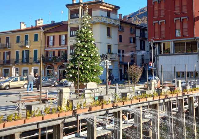 Albero natale Omegna