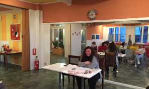 Arola Neverland Samuel