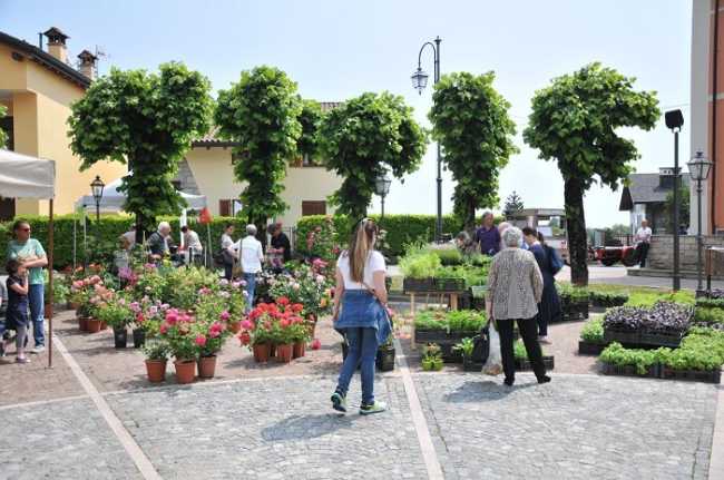 Giardinidea Gignese 2giugno 6