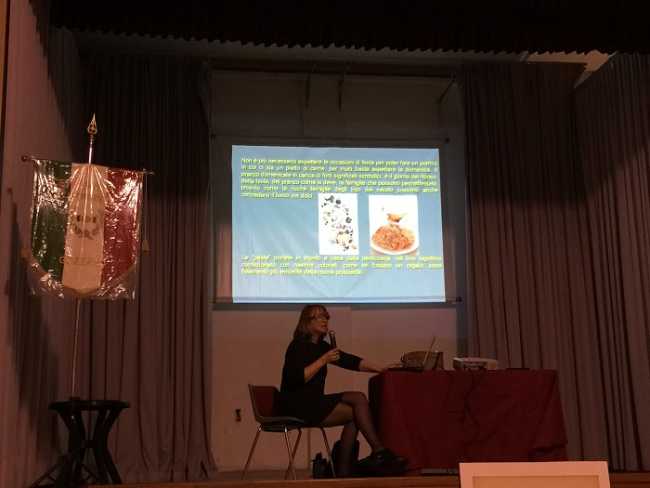 Gozzano mostraSomsi