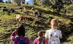 IMG 5093 copia