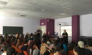 IMG 8594