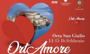 OrtAmore logo