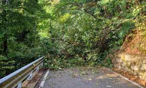 PHOTO 2025 08 28 20 21 49