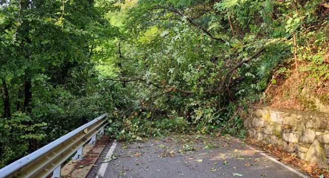 PHOTO 2025 08 28 20 21 49