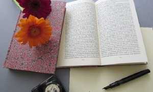 PRESENTAZIONE LIBROGozzano270