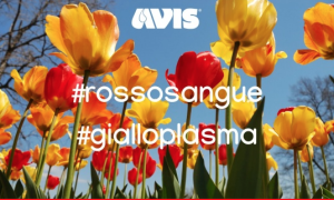 Schermata 2022 01 28 alle 16.09.09