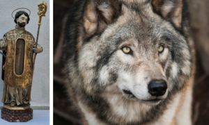 Schermata 2025 02 11 alle 12.00.55