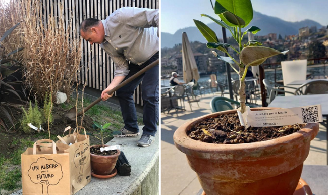 Un albero per il futuro foto