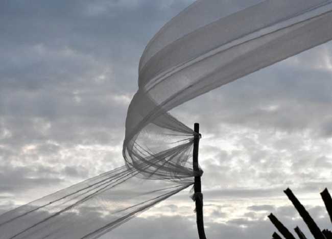 Vento cielo