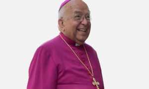 WhatsApp Image 2024 01 16 at 17.05.331