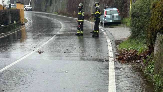 WhatsApp Image 2024 03 04 at 09.15.09