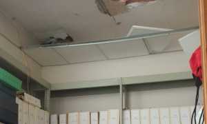 WhatsApp Image 2024 06 06 at 11.31.38