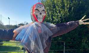 WhatsApp Image 2024 10 31 at 11.21.163