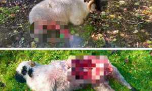 WhatsApp Image 2024 11 01 at 09.19.21