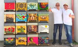 WhatsApp Image 2025 03 26 at 15.10.03