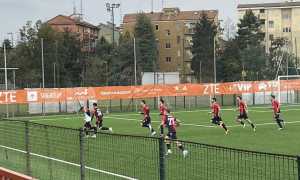 alcione gozzano
