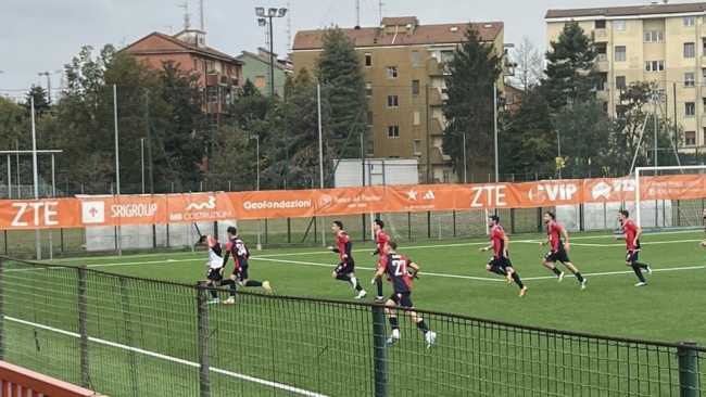 alcione gozzano