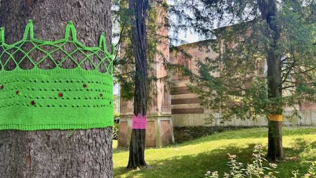 ameno parco magico