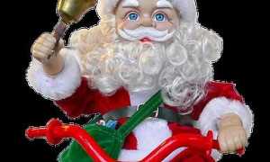babbo bici