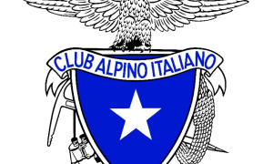 cai logo