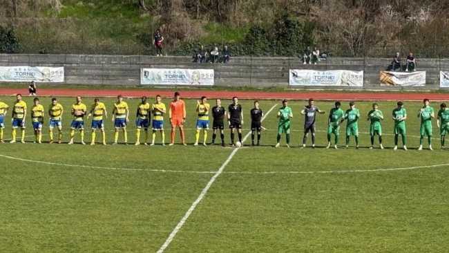 cairese gozzano