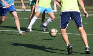 calcio pulcini