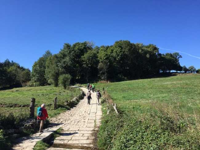 camminata PellegrinoGozzano