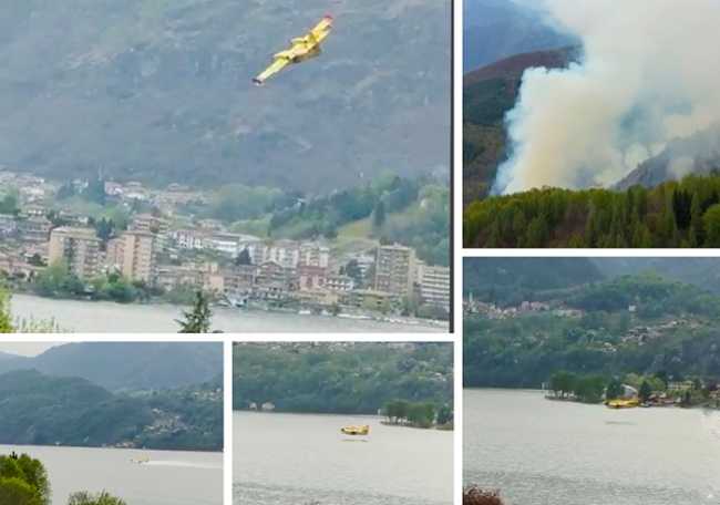canadair omegna