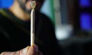 cannabis smoking 5890427 640