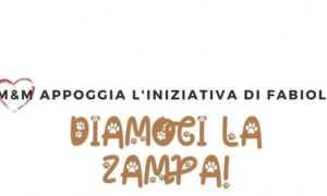 casale cc iniziativa animali