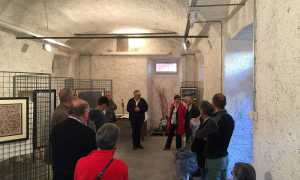 casale samuel intro
