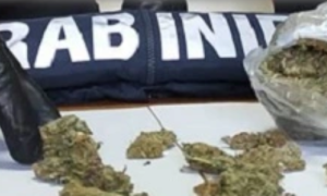 cc marijuana
