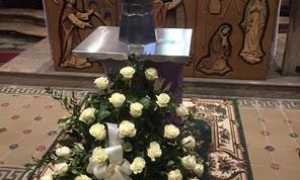 ceneri bialetti moka