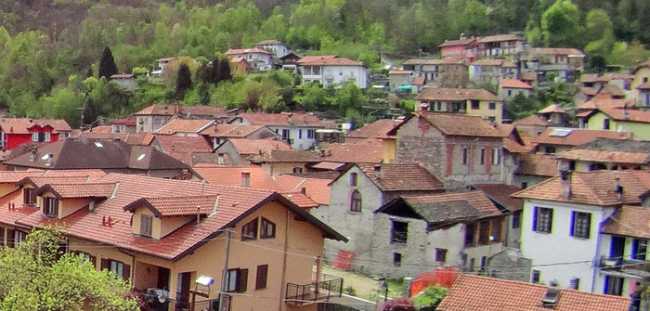 cesara