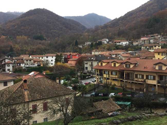 cesara