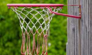 cesto basket