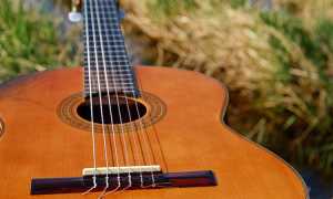 chitarra