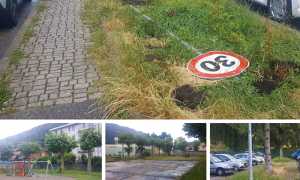 crusinallo erba cartelli mix 18