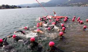 cusio cup19