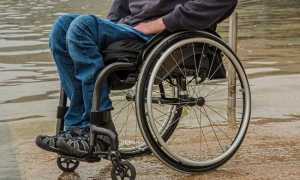 disabile elezioni