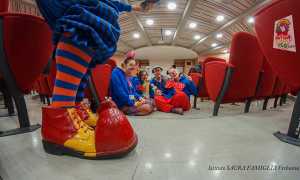 dottor clown vco
