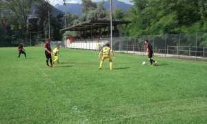 feriolo omegna