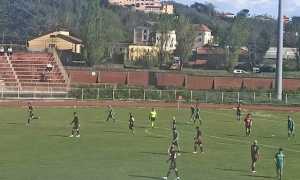fezzanese gozzano
