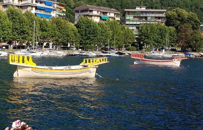 galeoni palio remiero omegna