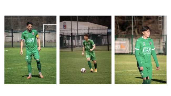 gozzano dalmasso bianchi pluvio 